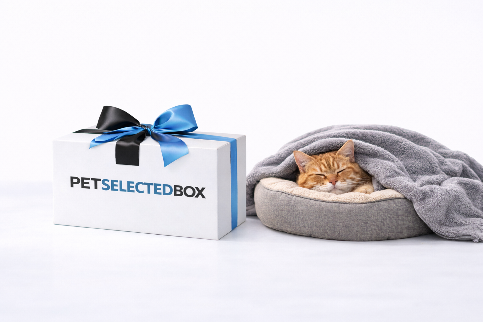 PetSelected Box – Dla Kota W Spokojnym Wieku